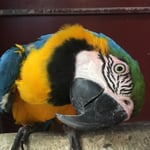 Mackay City Pet Barn - Pic 2