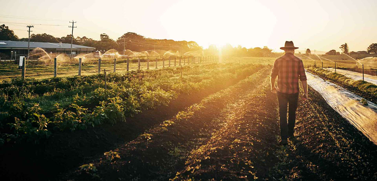 Geelong Farm Supplies Fencing Materials North Geelong Yellow Pages®