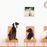Wetherill Park Veterinary Surgeons - Pic 1
