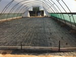 Bligh Park Concreting - Pic 7