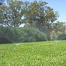 SEEC - Pic 8