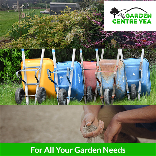 Garden Centre Yea - Promotion
