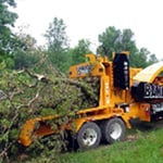 Dan's Tree Services - Pic 1