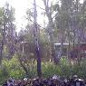 Hobart Bush Cabins - Pic 5