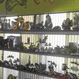 Allora Gardens Nursery - Pic 7