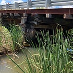 Burton Environmental - Pic 2
