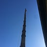 Dynamic Tree Works - Pic 6