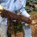 Joniec Plumbing - Pic 8