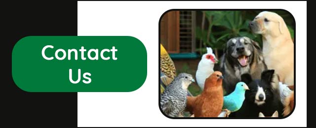 Condell Park Produce & Pet Supplies - Promotion 1