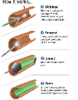 View PDF