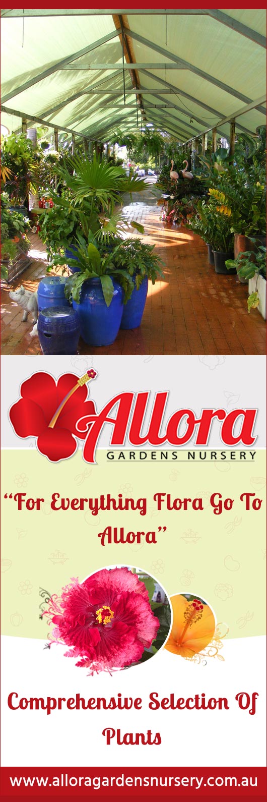 Allora Gardens Nursery - Promotion