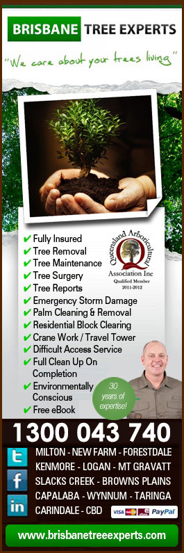 Brisbane Tree Experts - Promotion