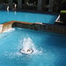 Poolsurf Renovations - Pic 3