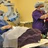 Veterinary Ophthalmic Referrals - Pic 4