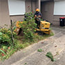 Harringtons Tree Services - Pic 8