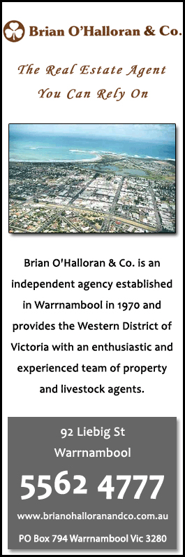Brian O'Halloran & Co. - Promotion