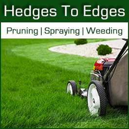 Hedges To Edges - Promotion