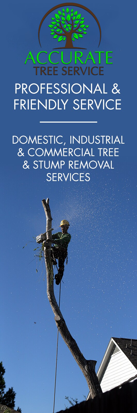 Accurate Tree Service - Promotion
