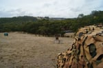 Paintball Sports Kuitpo Forest - Pic 3