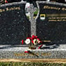 Globe Memorial Co Pty Ltd - Pic 8