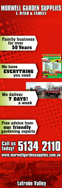 Morwell Garden Supplies - Promotion