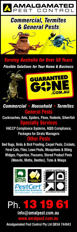Amalgamated Pest Control - Promotion