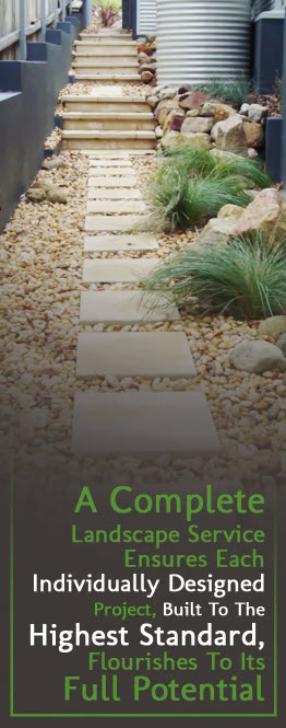 DP Landscaping & Design - Promotion