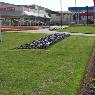 Greenacres Turf Farm - Pic 5