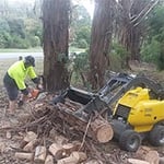 Calder Mini Diggers - Pic 8