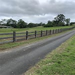 Berry Prestige Property Maintenance - Pic 10