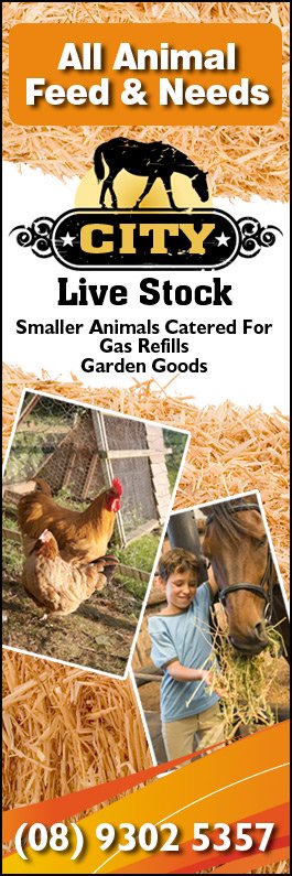 City Live Stock Stock Feeds Fodder Supplements 727a