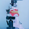 Claremont Denture Clinic - Pic 1