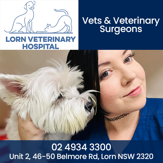 Lorn Veterinary Clinic - Promotion
