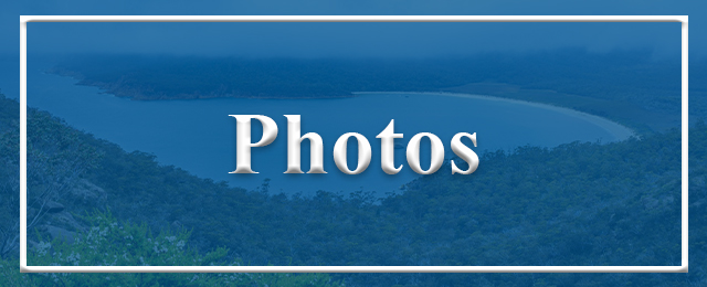 Island Scenic Flights - Promotion 3