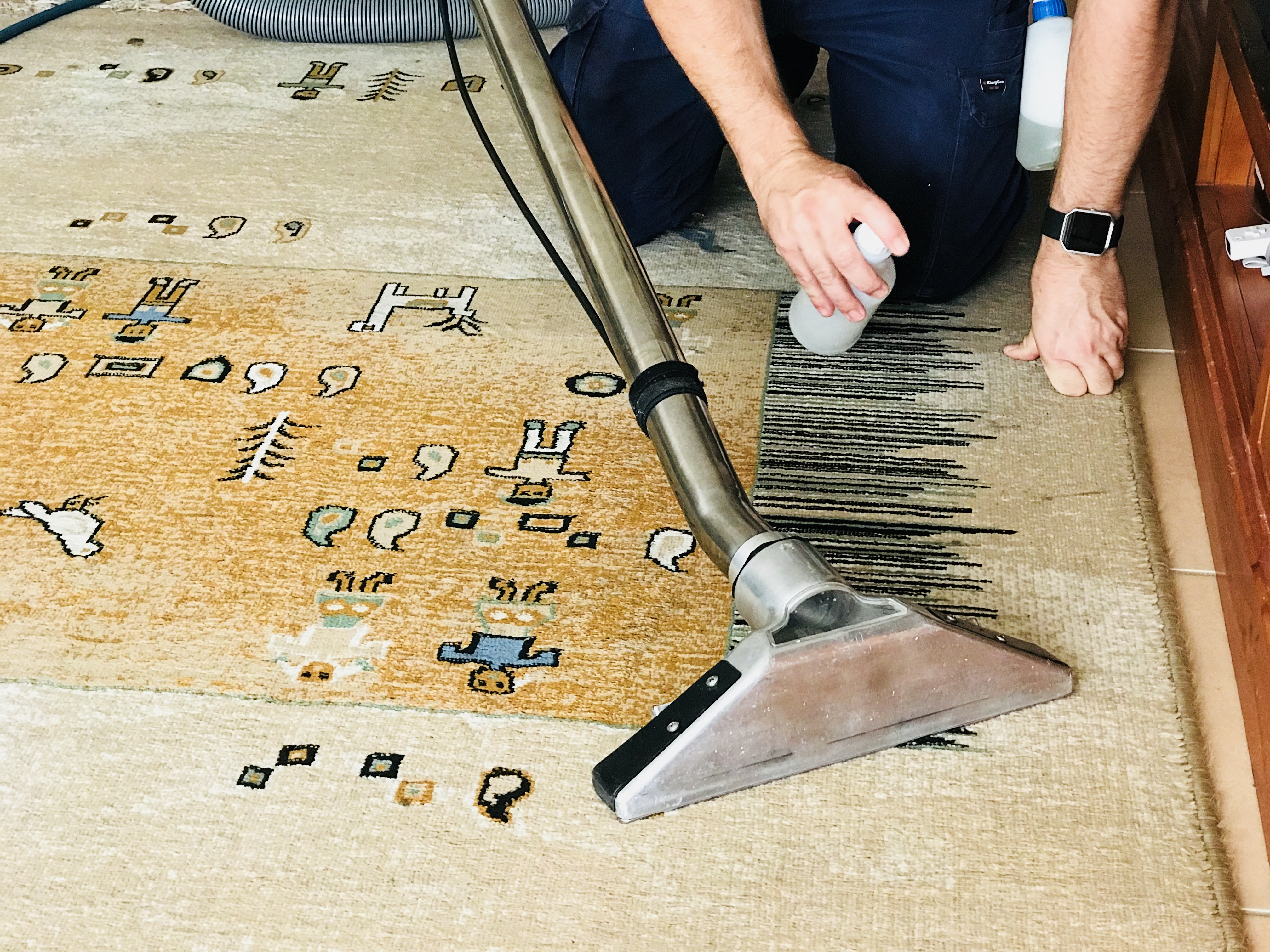 Clean As A Whistle Carpet Cleaning & Protection Hillvue Yellow Pages®