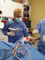 Indigo Veterinary Services - Pic 2