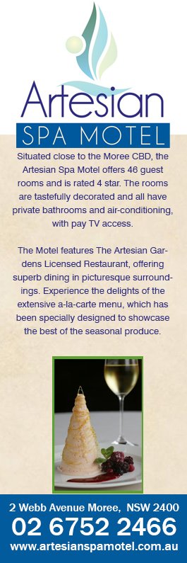 Artesian Spa Motel - Promotion