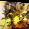 Adelaide Artistic Glass - Pic 10