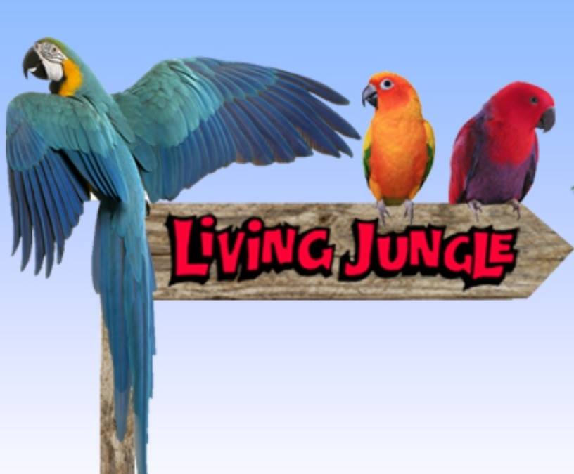 Living Jungle Pet Warehouse Shops & Stores 140 Ramsgate Rd Ramsgate