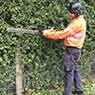 Arbator Tree Services - Pic 2