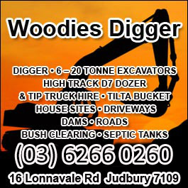 Woodies Digger - Promotion