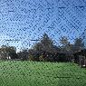 Ausnet Industries - 360 Sports - Pic 1