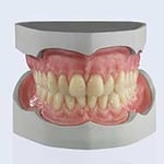 Tas Denture Studios - Pic 6