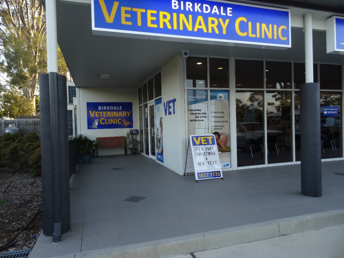 Birkdale Veterinary Clinic Vets & Veterinary Surgeons Birkdale