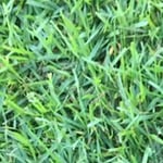 Lockyer Lawn Supplies - Pic 5
