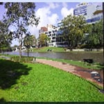 Our offices at 96 Phillip Street, Parramatta, view from the Parramatta River