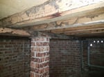 Picton Pest Control - Pic 3
