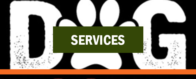 Foxy's Mobile Dog Wash And Grooming Services - Promotion 3