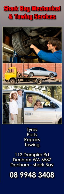 Shark Bay Mechanical & Towing Services - Promotion