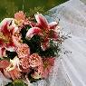 Daphne Florist - Pic 1